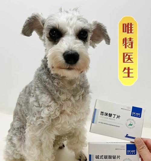 小狗老吐黄水怎么办？教你正确选择药物治疗（小狗消化问题导致呕吐黄色液体，应该选择哪种药物治疗？）