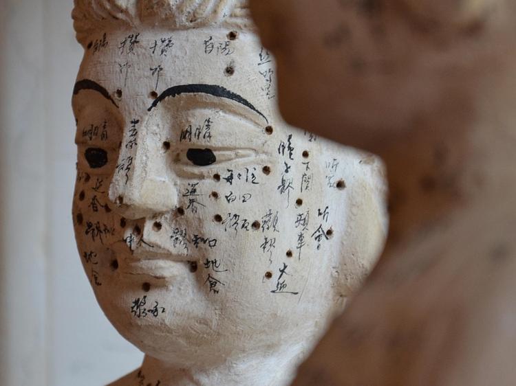 中医调理肾虚:辨证分型+综合方案,科学养肾不踩坑 中医调理肾虚:辨证分型+综合方案,科学养肾不踩坑