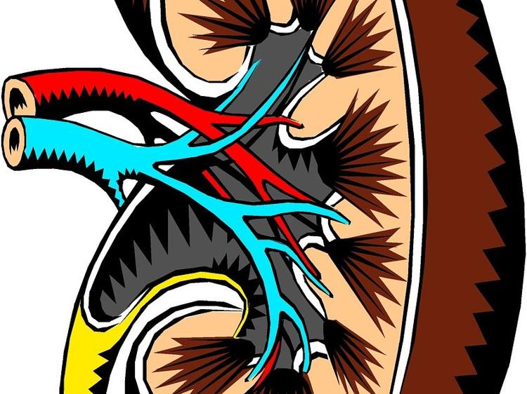 肾阴阳两虚如何辨清调理?中医指南帮你平衡身体 肾阴阳两虚如何辨清调理?中医指南帮你平衡身体