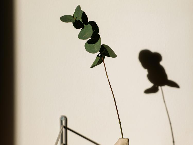 痰湿会导致手脚发热吗?别混淆阴虚和痰湿 痰湿会导致手脚发热吗?别混淆阴虚和痰湿