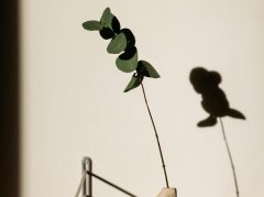 痰湿会导致手脚发热吗？别混淆阴虚和痰湿