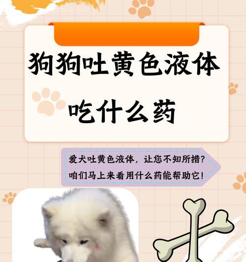 小狗呕吐的常见原因（了解呕吐背后的健康问题，保护宠物的幸福生活）