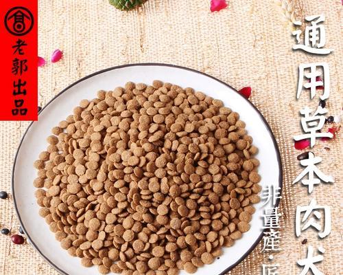 金毛肠炎的治疗方法——药物止泻（有效缓解症状的药物治疗方法）