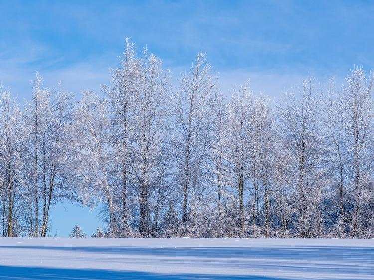 体寒手脚冰凉?5类温补食物+3个生活技巧帮你暖起来 体寒手脚冰凉?5类温补食物+3个生活技巧帮你暖起来