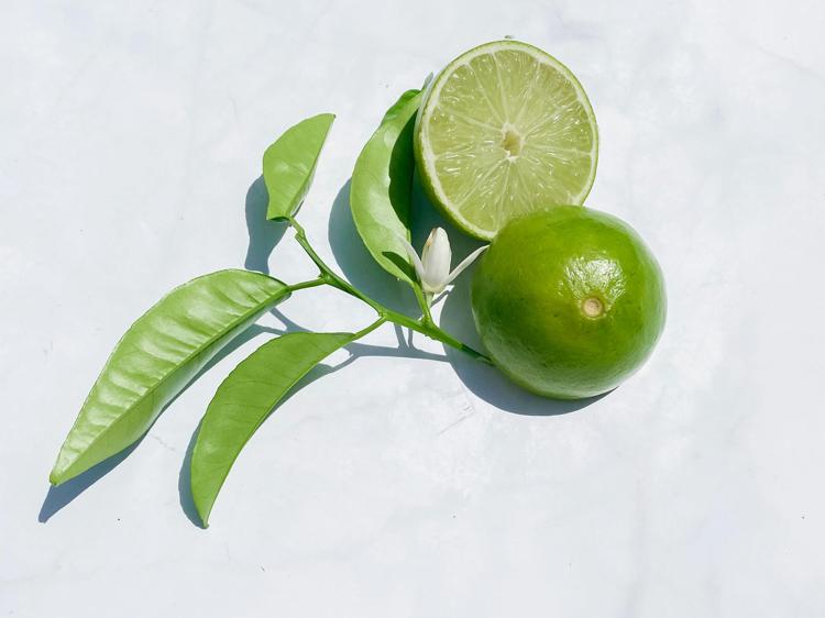 薏米粉泡水喝：4个健康作用与饮用提醒