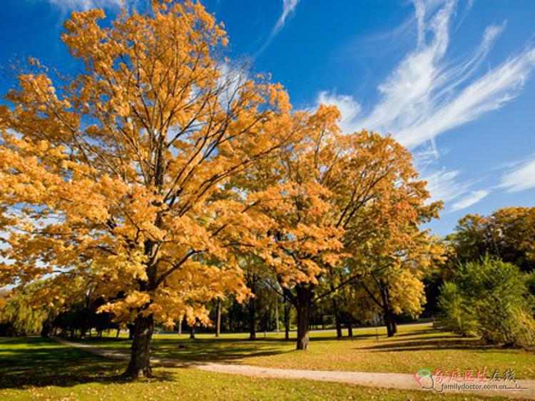秋分养生四步走:饮食运动情绪调理全指南 秋分养生四步走:饮食运动情绪调理全指南