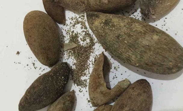 肚子长虫，你应该知道的症状（揭开肚子长虫症状的真相，了解）