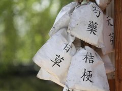 酸枣仁汤调心悸：辨证要点与安全使用指南