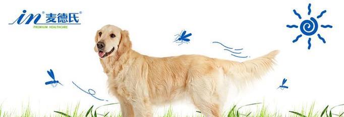 狗的散热机制与方法（探索狗如何通过哪些途径来进行散热）