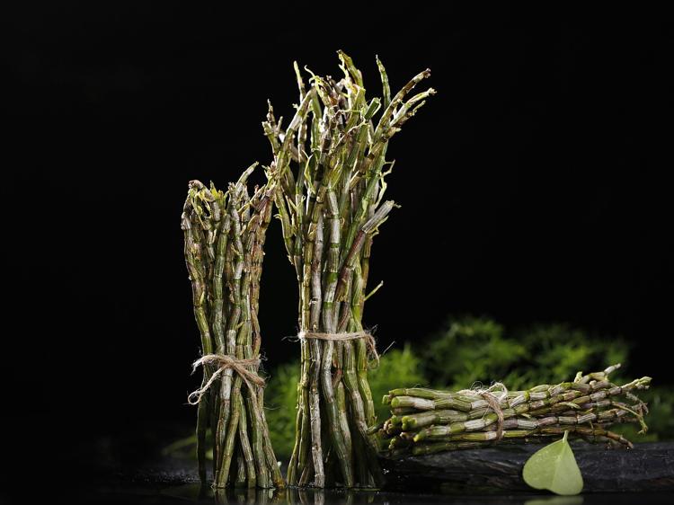 五指毛桃石斛汤，能调脾虚浮肿吗？