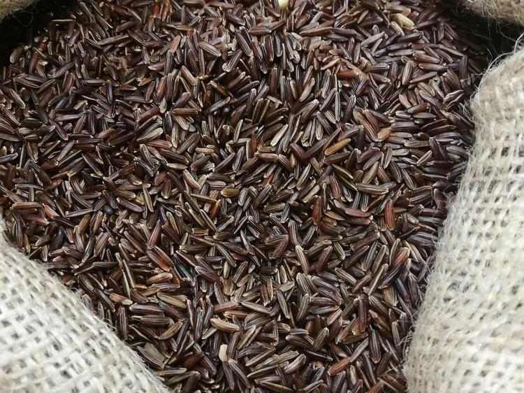 痰湿体质适合吃黑米?营养中医双解析+调理全要点 痰湿体质适合吃黑米?营养中医双解析+调理全要点