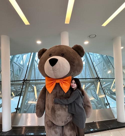 超级大的泰迪叫什么名字？（探索大型泰迪犬的命名之谜）