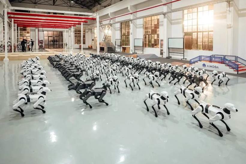 智能驾驶的狂飙、洗牌与突围 | 看见2025