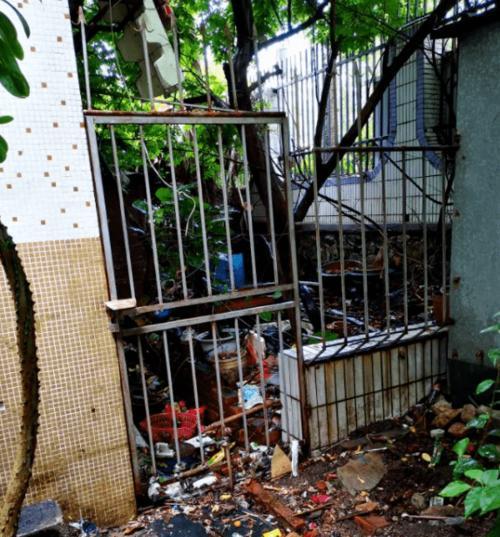 探寻珠海狗市场的魅力（深入了解珠海狗市场的地理位置及规模）