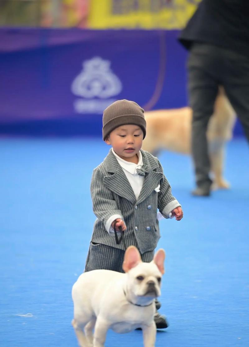 以法斗的发育过程及其关键阶段（探索以法斗成长中的重要时刻）