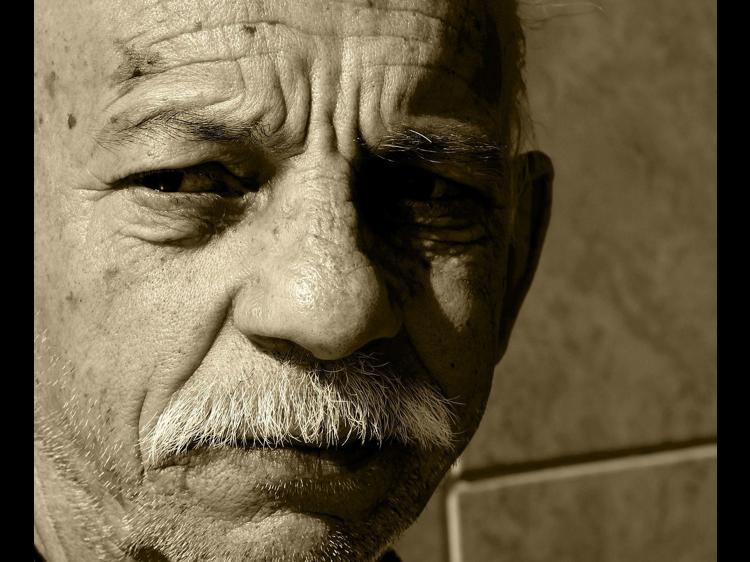 肾精不足科学调理：改善白发掉发与精力的实用指南