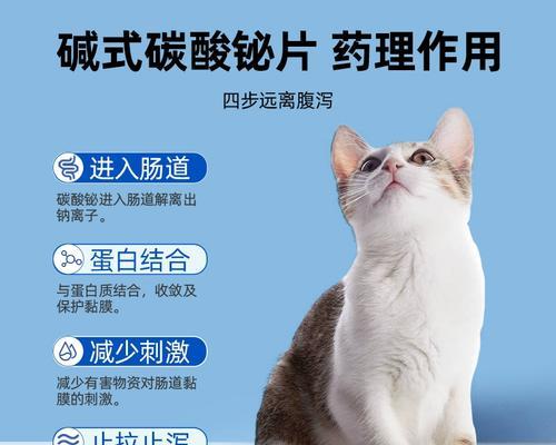 狗狗肚子响怎么办？（了解原因，合理用药解决问题）