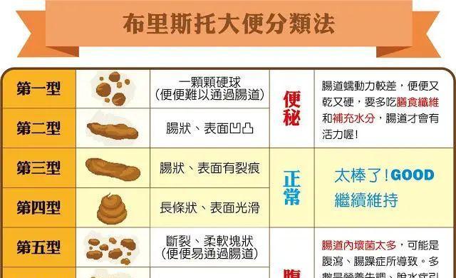 解析每天拉屎臭的原因（为什么我们的排泄物具有强烈的恶臭？）