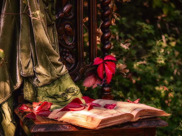 了解中医起源与发展:看懂传统医学的实践智慧 了解中医起源与发展:看懂传统医学的实践智慧