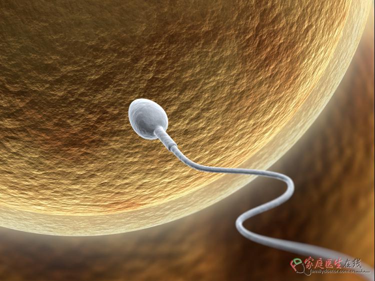 中医调理排卵障碍：3类方法+避坑指南，帮你改善生殖健康