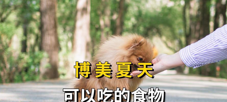 狗狗例假的饮食需求（了解狗狗例假期间的饮食需求，给予适当的关爱与照顾）