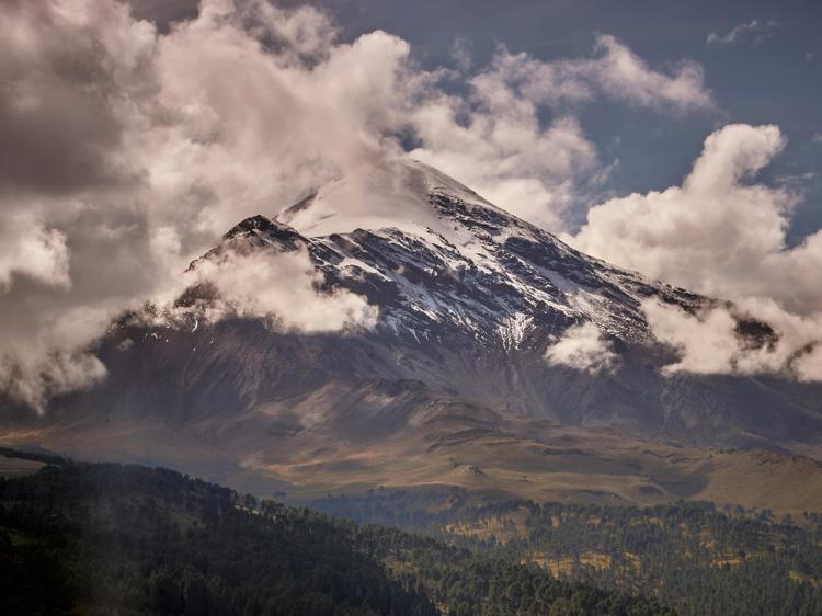 湿气重、脾胃虚、气虚？科学综合调理方法看这里