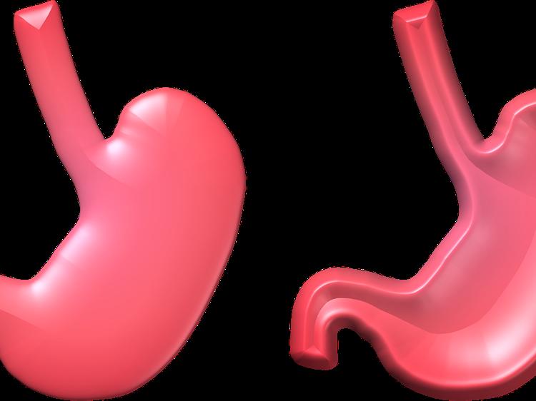 脾胃虚寒者能吃金线莲吗？这些禁忌要注意