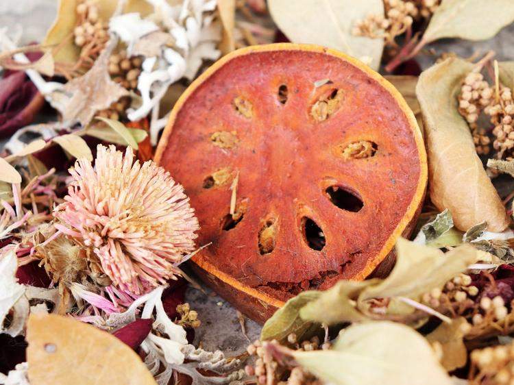 金银花百合泡水缓解虚火：功效、误区及正确饮用指南