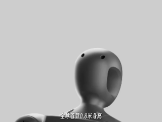 从UP主到机器人掌舵人，稚晖君的启元Q1能改写个人机器人市场吗？