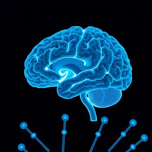 科学家揭示大脑如何“协奏”出你的面部表情