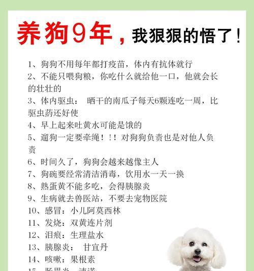 养狗必须打的育苗，你知道几种？（了解育苗，让你的爱犬健康成长）