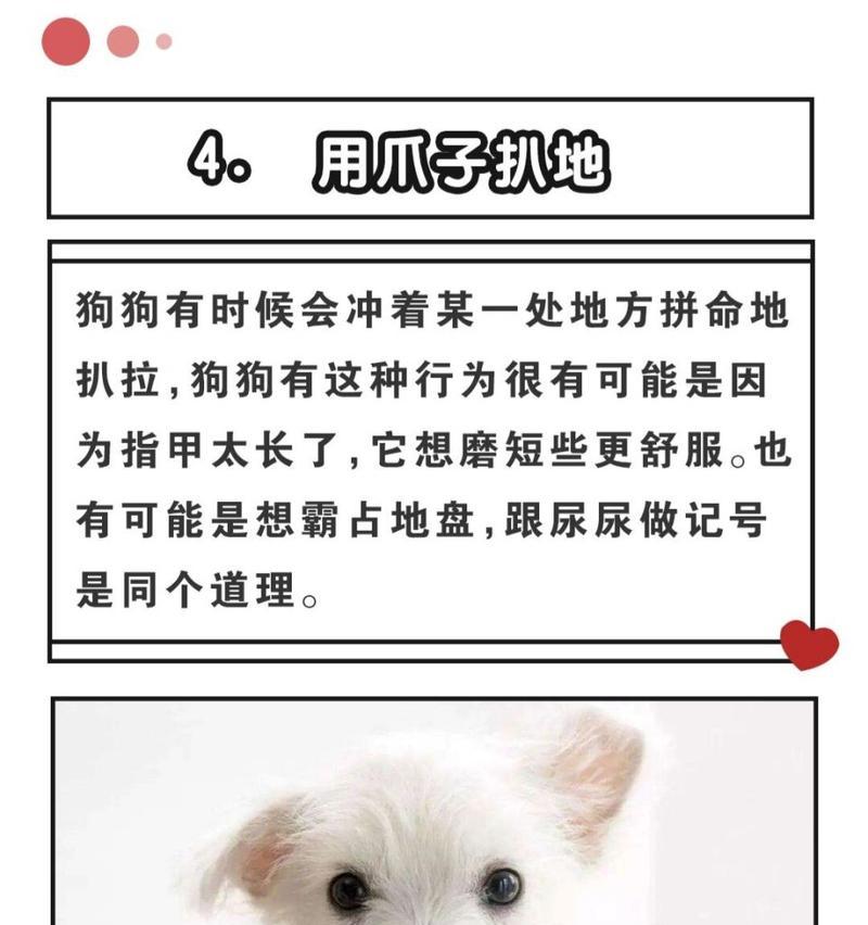 文章详情图片