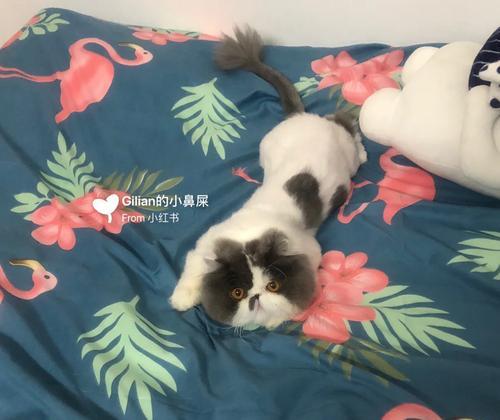 文章详情图片
