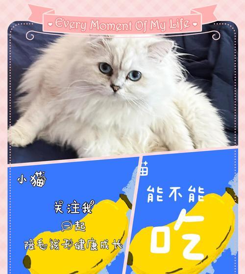 文章详情图片