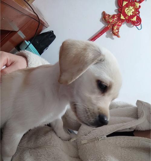 文章详情图片