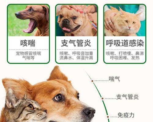 文章详情图片