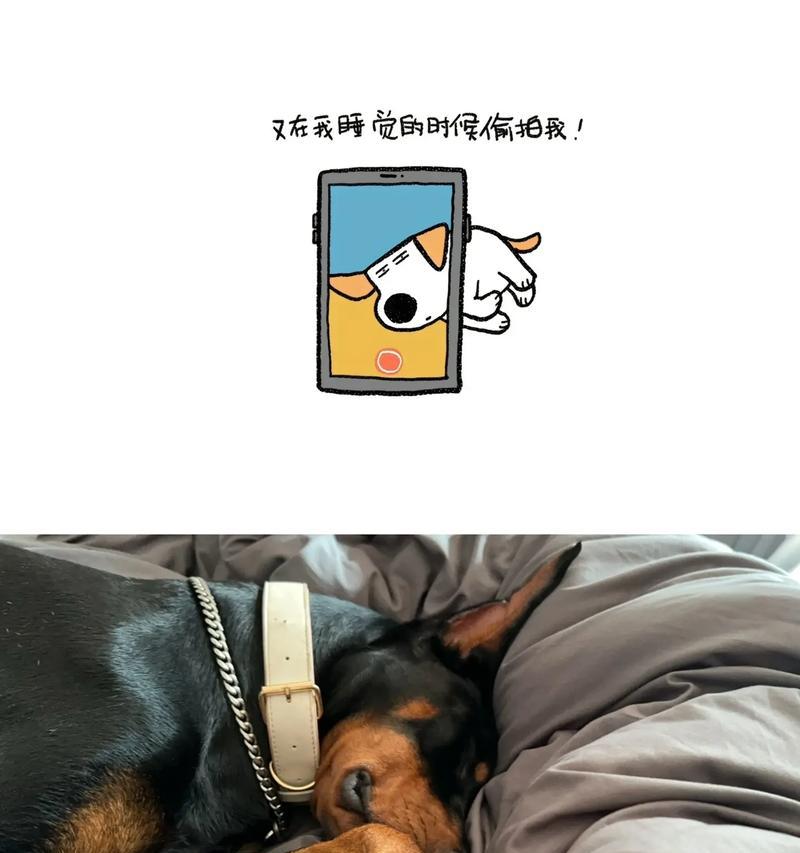 文章详情图片