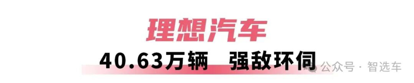 2025年车企销量盘点，比亚迪无敌，吉利有潜力，奇瑞赚外币？