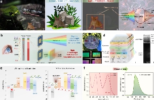 【全球汽车新技术观察】12月上期〡马瑞利推出Affordable 5G RedCap技术 用于车辆远程信息处理；英伟达发布自动驾驶开源AI模型Alpamayo-R1；受蛋清启发，KIMS开发高性能散热复合材料