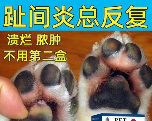 文章详情图片