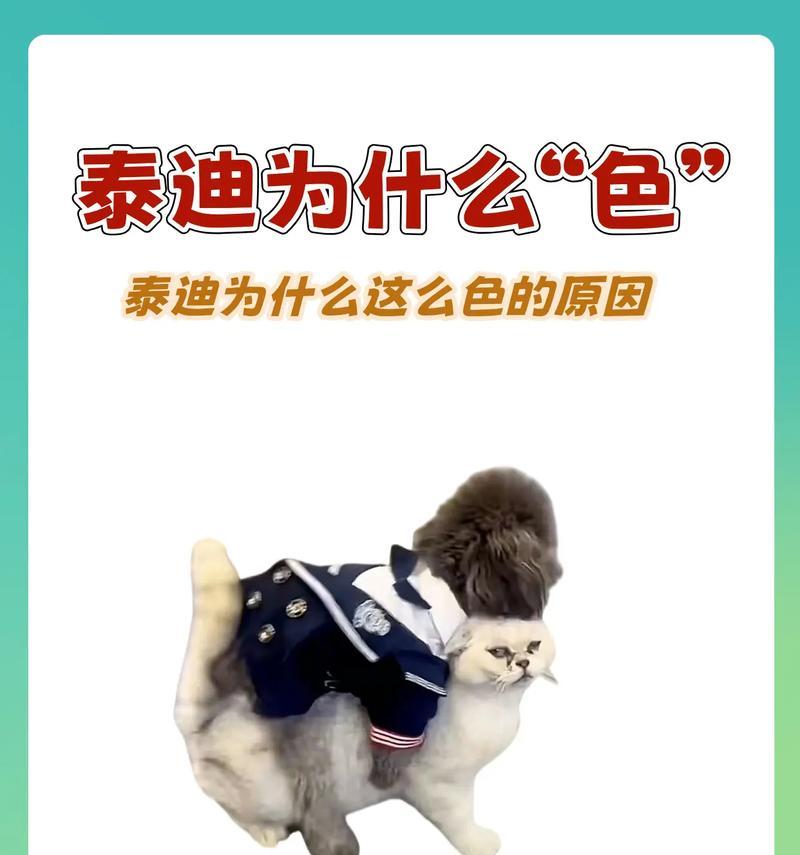 文章详情图片
