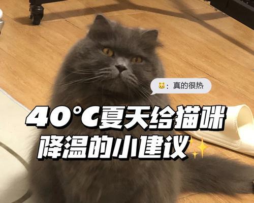 文章详情图片