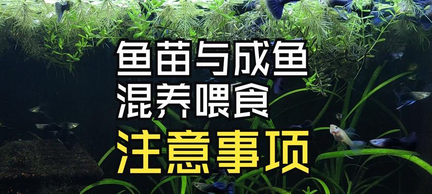 文章详情图片
