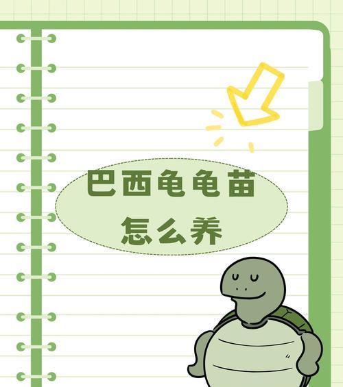 文章详情图片