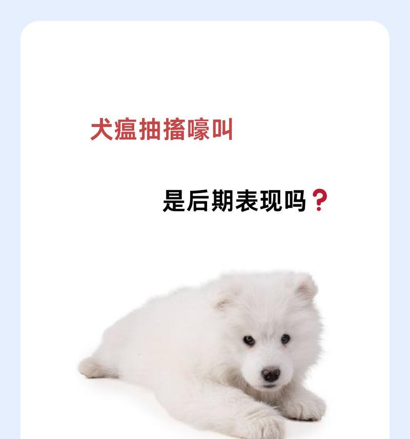 文章详情图片