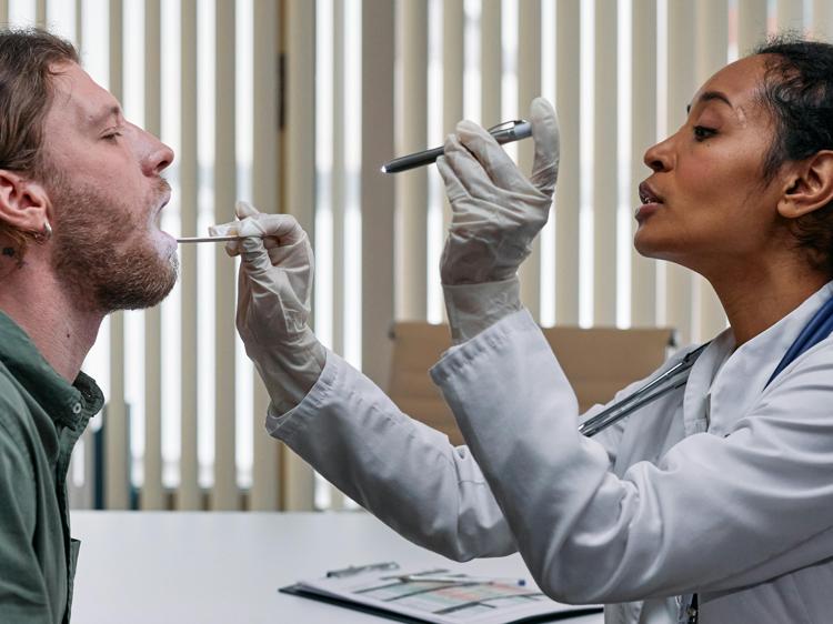 炎症不适别乱泡！3种常见中药材的正确使用指南