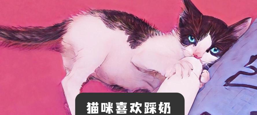 猫爪子踩奶的含义解析（猫咪踩奶是一种安抚行为，有助于调节情绪）