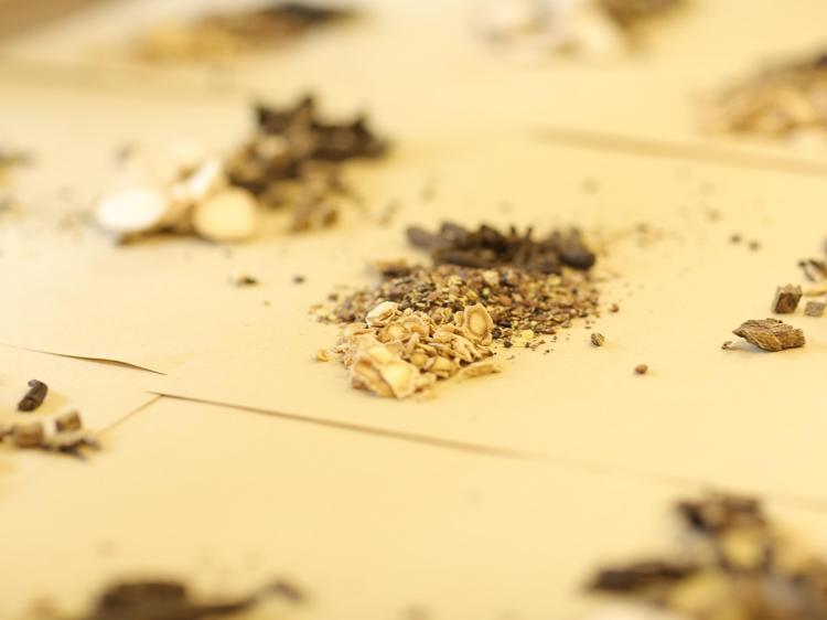 苦杏仁能止咳通便？这些食用风险别忽视