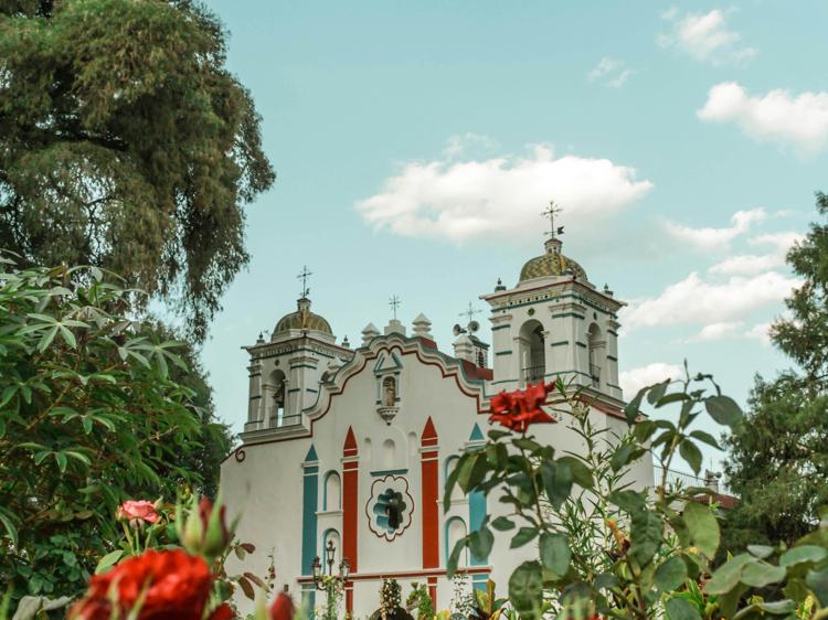 无高血压糖尿病人群吃葛根：4类益处+5个注意事项