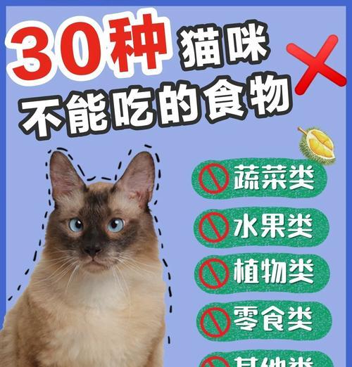 猫咪的饮食禁忌及安全食物指南（了解猫咪的饮食禁忌，让您的宠物健康成长）